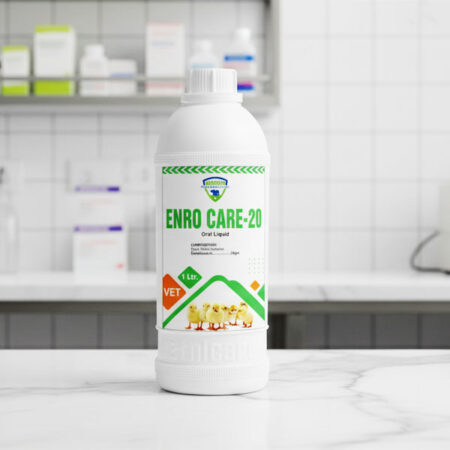 ENRO CARE-20 (Oral liquid)